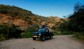 Jungle safari is the best option to explore wildlife in Ranthambore National Park