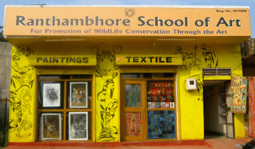 Places to visit in Ranthambore include Ranthambore Fort, Padam Talao, Malik Talao, and many more. 